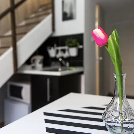 Private Lofts 부다페스트