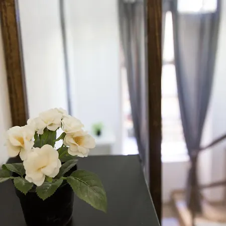 Private Lofts 아파트