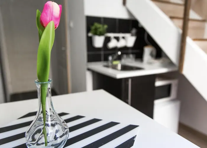 Private Lofts Lägenhet